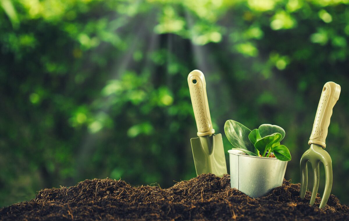 Little Known Ways to Get Free Seeds, Tools, Gardening Supplies