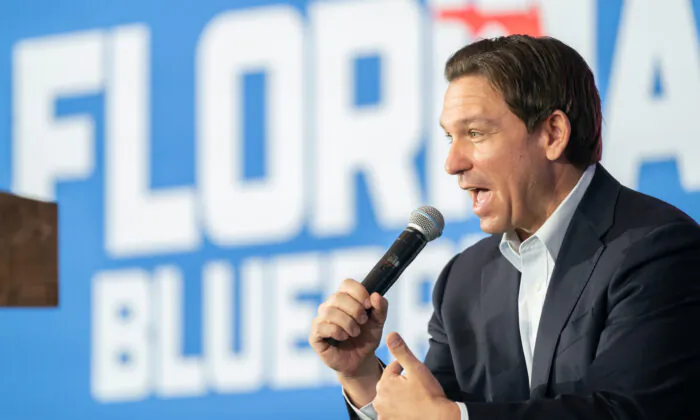 Florida Gov. Ron DeSantis speaks to a crowd at the North Charleston Coliseum in North Charleston, S.C., on April 19, 2023. (Sean Rayford/Getty Images)