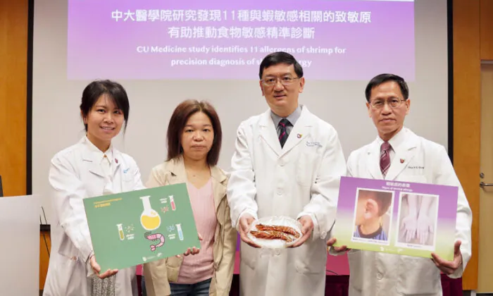 CUHK Faculty of Medicine, in collaboration with Mahidol University and Samitivej Thonburi Hospital in Thailand, successfully identified 11 shrimp allergens, contributing to a more precise diagnosis of shrimp allergies. The report was issued on May 11, 2023. (Adrian Yu/The Epoch Times) 