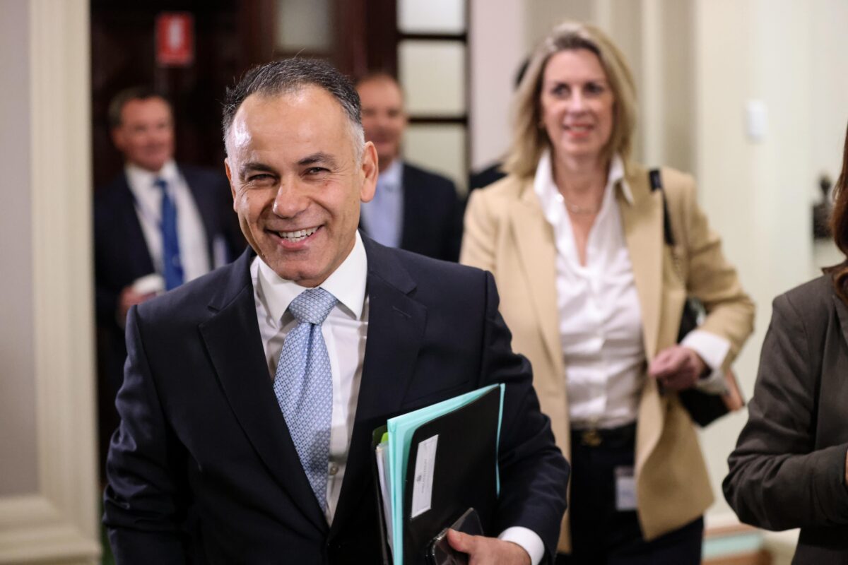 Victorian Liberal Party Willingly Bombs Itself Into the Dark Ages