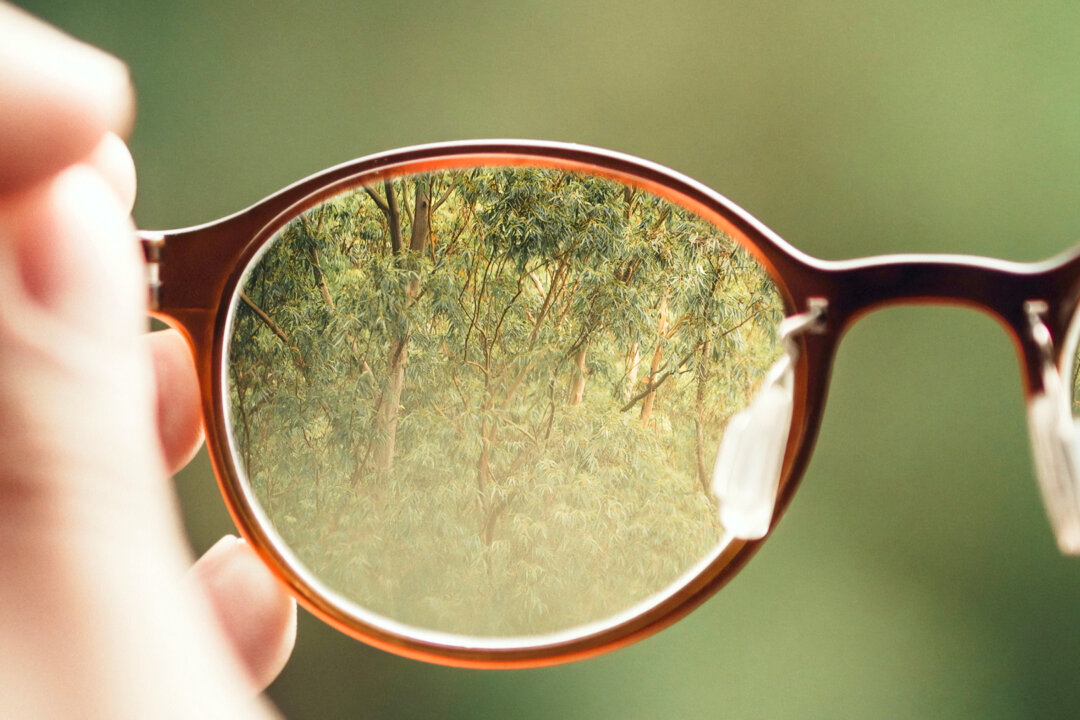 Scientists say that having the right amount of sunlight is the key to our vision. (Bud Helisson/Unsplash)