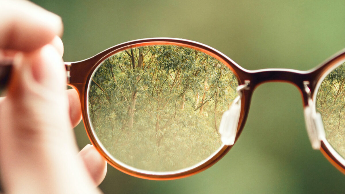 NextImg:No. 1 Habit for Healthy Vision