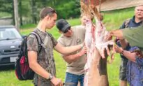 ‘We’ve Lost Our Way’: How Old School Boot Camp in Ohio Is Teaching Self-Sufficiency Skills