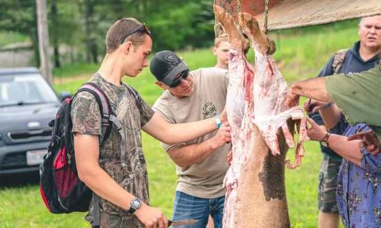 ‘We’ve Lost Our Way’: How Old School Boot Camp in Ohio Is Teaching Self-Sufficiency Skills