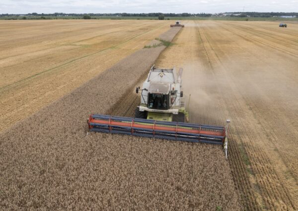 Russia Ukraine Grain Deal