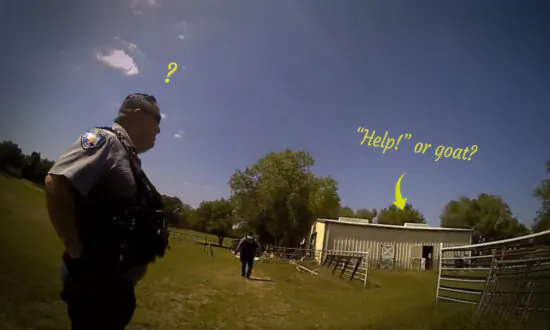 Hilarious Video Captures Police Officers Mistaking Goat’s Cry for Someone Yelling ‘Help!’