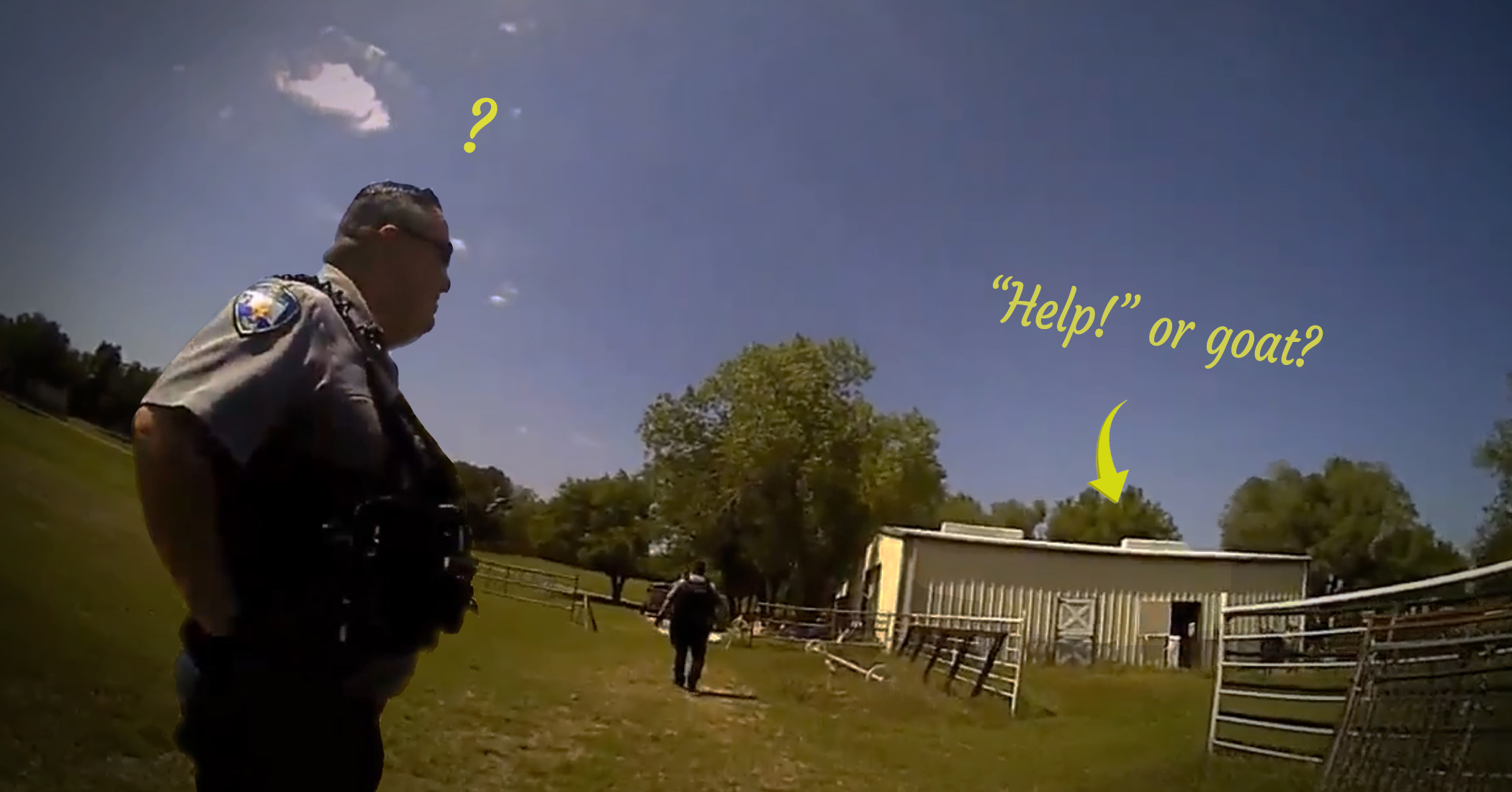 Hilarious video captures police officers mistaking goat’s cry for someone yelling ‘help!’