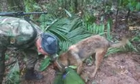 Fate of Colombia Plane Crash Children Unknown; Petro Deletes Tweet