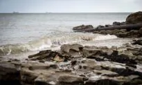 Water Companies Apologise for Sewage Spills, Announce £10 Billion Modernisation Plan