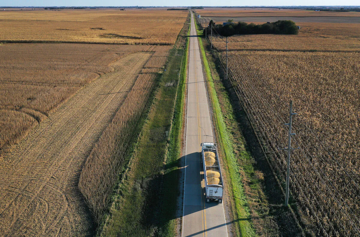An aerial view from a drone shows a truck loaded with soybeans harvested from a field at the Bardole & Son's Ltd. farm in Rippey, Iowa, on Oct. 14, 2019. (Joe Raedle/Getty Images)