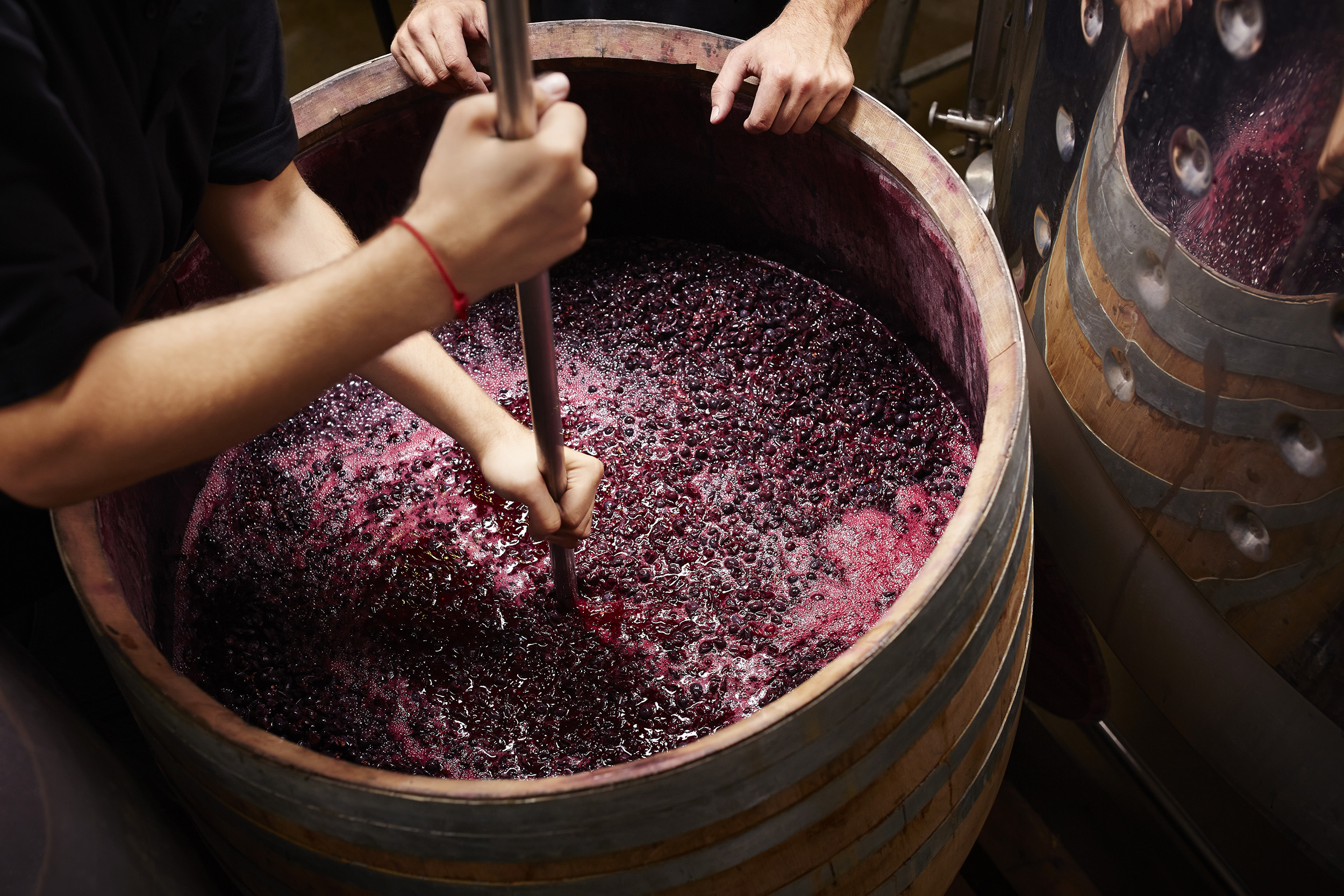 Plunging The Grapes Cap To Extract Color