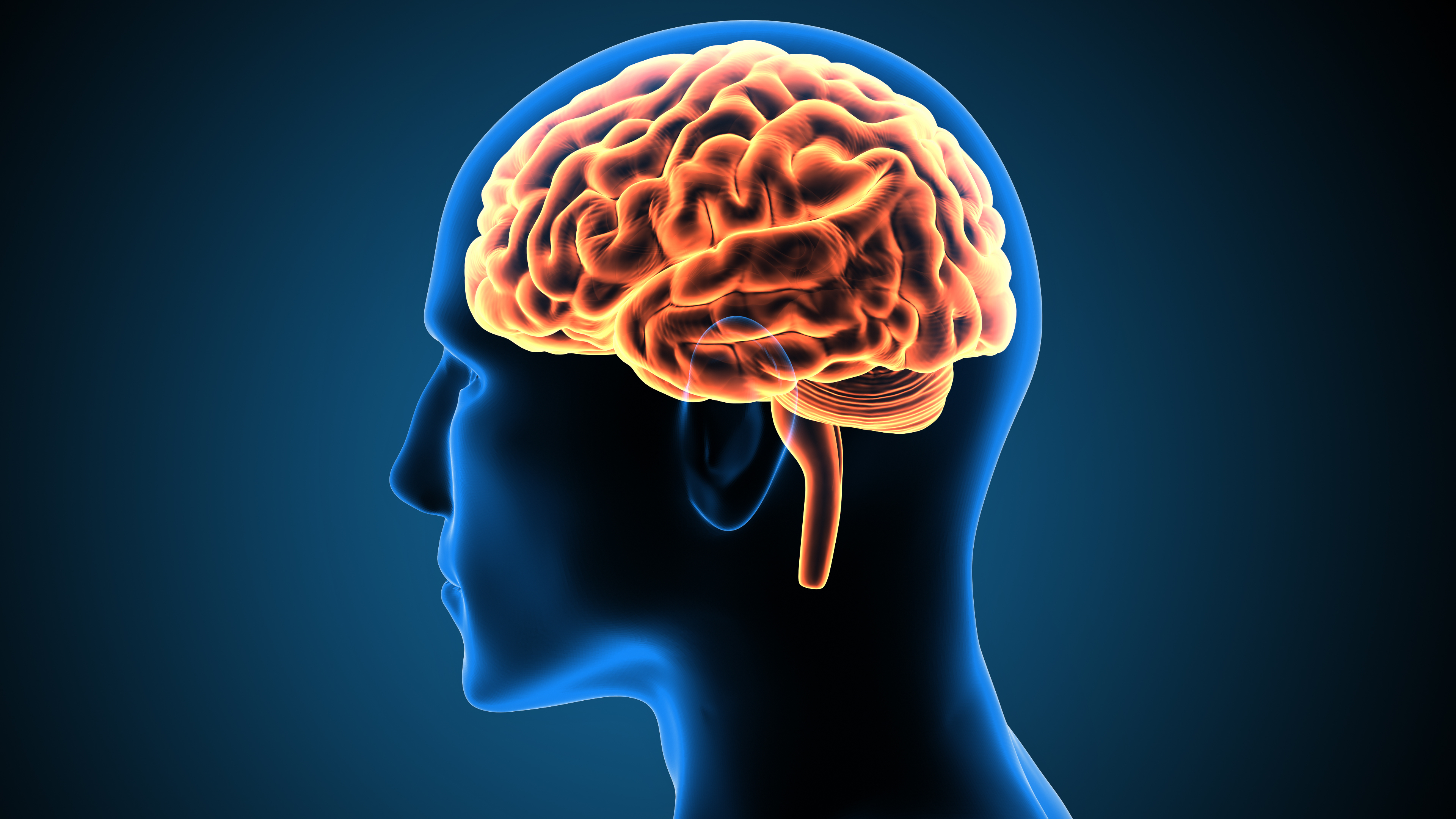 Is Too Much Iron in the Brain Causing Alzheimer's? - Vimarsana News