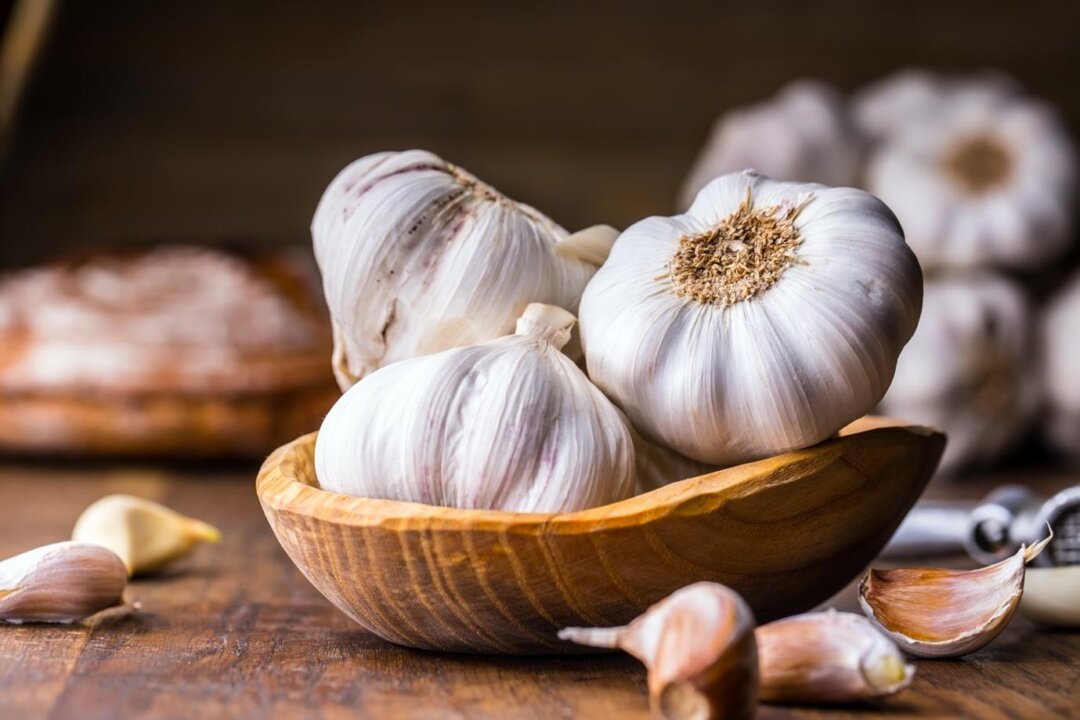 Garlic has been used as a miracle herb for thousands of years. Modern medicine has shown in several studies that garlic kills bacteria and prevents and treats cancer, cardiovascular disease, and Alzheimer's disease.(Marian Weyo/Shutterstock)