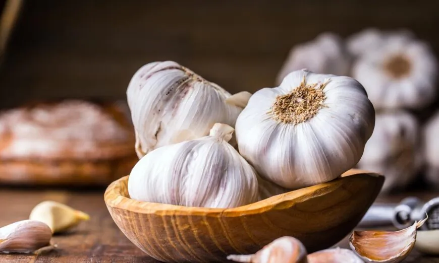 Garlic has been used as a miracle herb for thousands of years. Modern medicine has shown in several studies that garlic kills bacteria and prevents and treats cancer, cardiovascular disease, and Alzheimer's disease.(Marian Weyo/Shutterstock)
