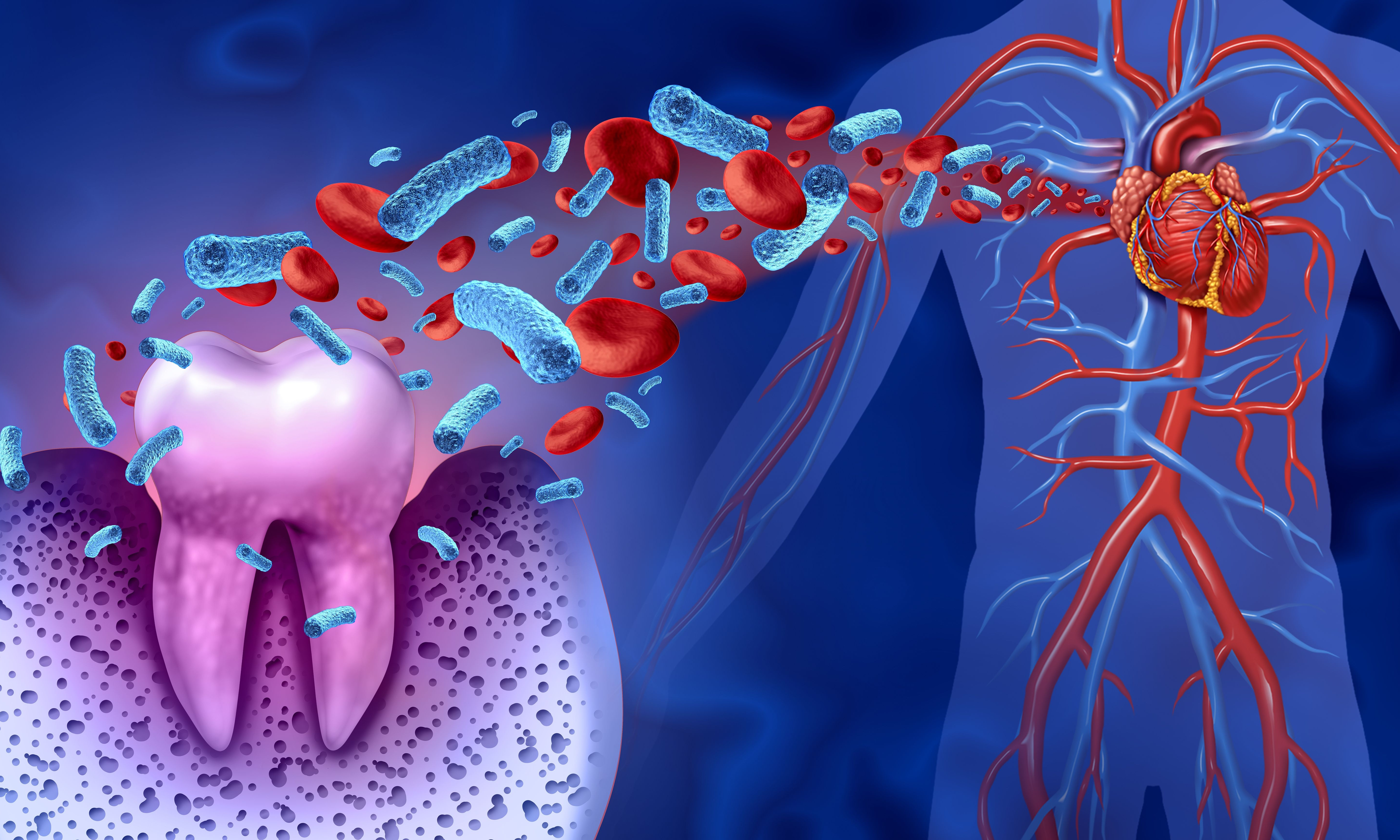 Study Examines CoQ10's Benefit for Gum Disease - Vimarsana News