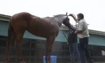 Mage’s Triple Crown Bid Ends After Finishing 3rd in Preakness