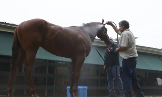 Mage’s Triple Crown Bid Ends After Finishing 3rd in Preakness