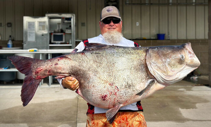 Holy Carp! Oklahoma Angler Reels in Huge 'Nuisance' Bighead Weighing 118 Pounds for State Record