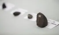 Meteorites Found in Canada Cannot Be Removed From the Country Without Permit