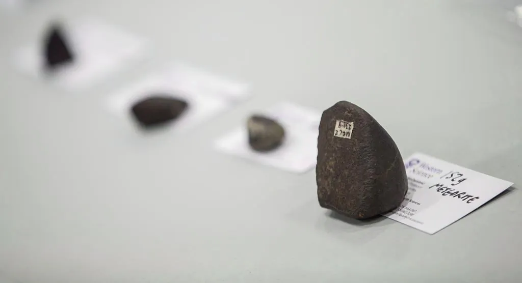 Scientists from Western University and NASA display some meteorites during a press conference in St.Thomas, Ont., on March 21, 2014. (The Canadian Press/Geoff Robins)