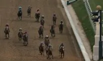 Horse Dies After Race at Churchill Downs, 9th Recent Fatality at Home of Kentucky Derby