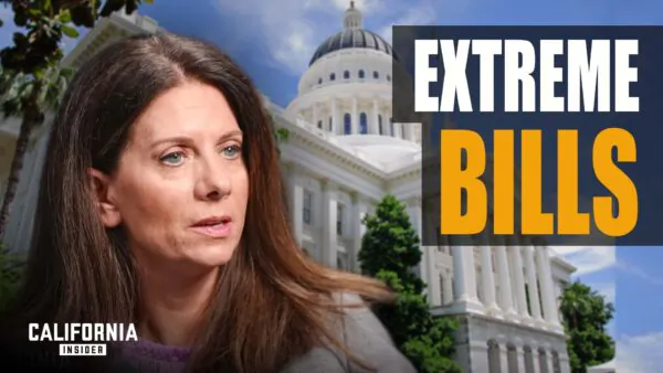Ex-Lawmaker Issues Dire Warning on New California Laws | Melissa Melendez