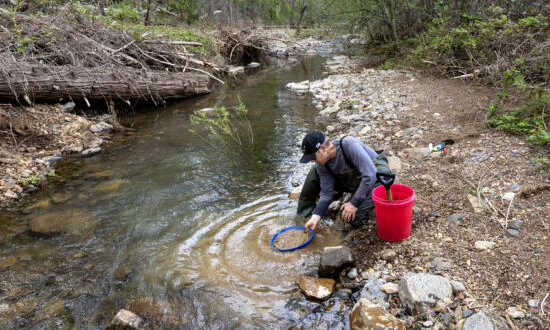 Modern-Day Prospectors Take Notice as Raging California Rivers Replenish Historic Gold Rush Spots