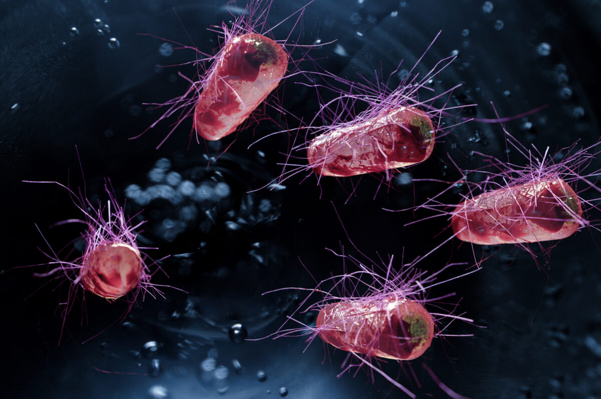 Is Your Diet Giving You UTIs?