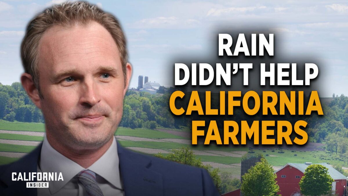NextImg:Why Farmers Are on the Brink of Bankruptcy, Despite Epic Rainfall | James Gallagher