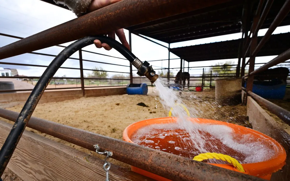 A farmer provides water for horses in Rio Verde Foothills, Ariz., on Feb. 23, 2023. (Frederic J. Brown/AFP via Getty Images)