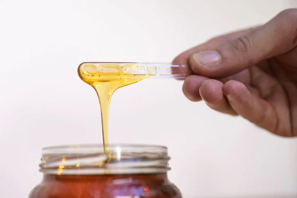 A man shows honey with a plastic stick in Cuneo, Northwestern Italy, on Sept. 11, 2019. (Marco Bertorello/AFP via Getty Images)