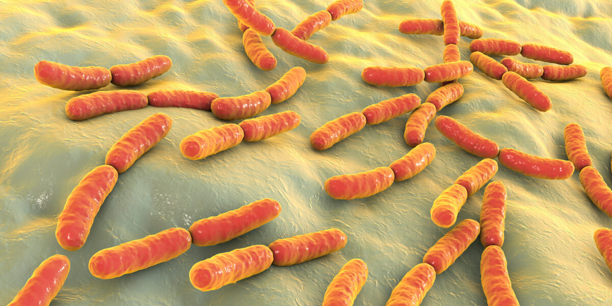 Changes in Gut Bacteria May Cause Parkinson’s: Study