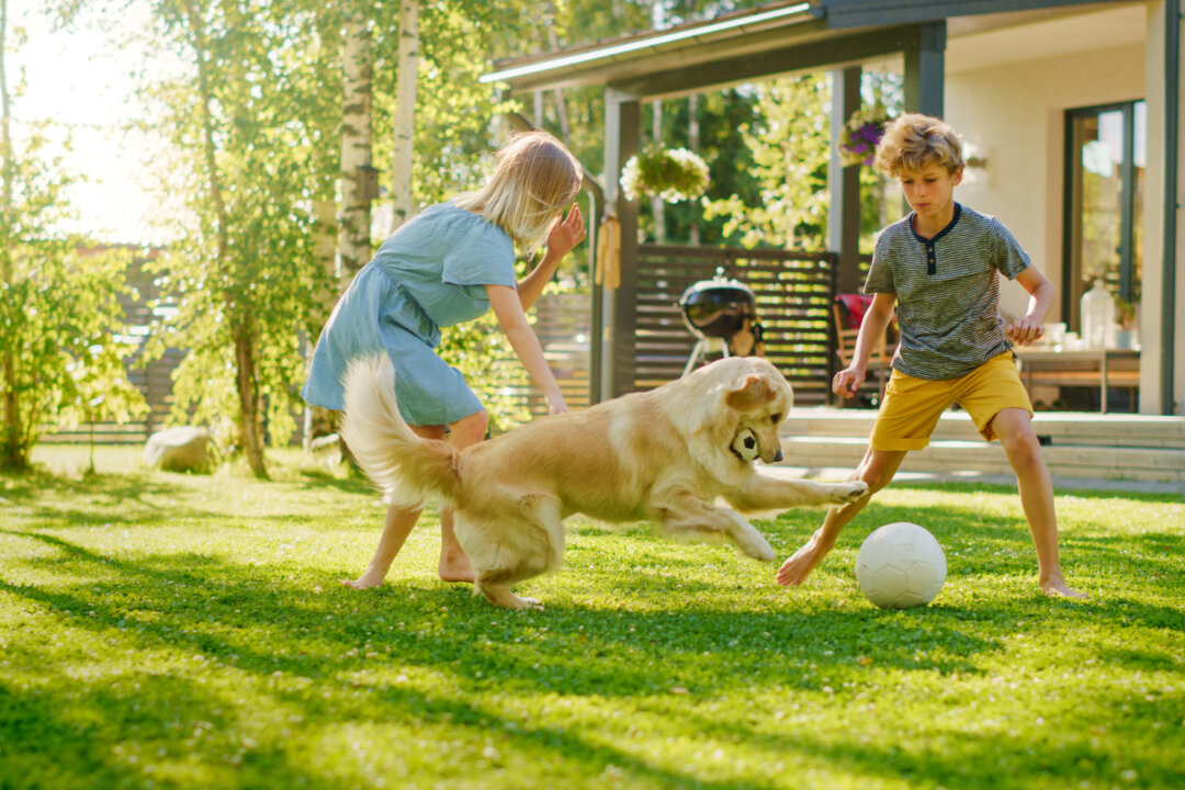 Summer is the ideal time to reconnect with your kids, listen to them, play together, and get to know what their current interests are and what lights them up inside. (Gorodenkoff/Shutterstock)