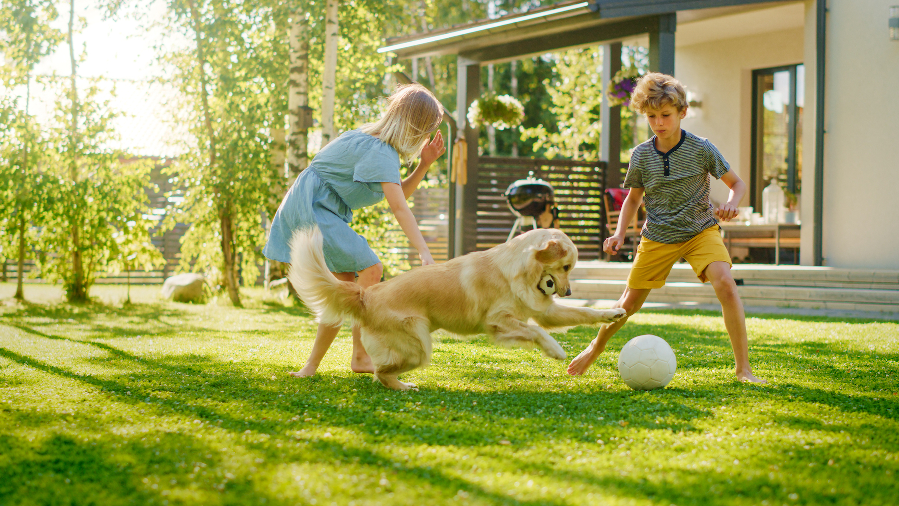 Why Young Children Must Play Outside - Vimarsana News
