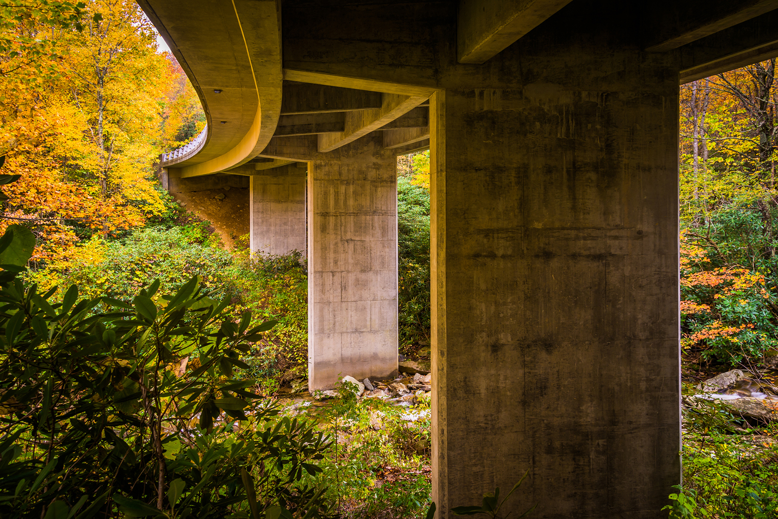 A view at The Blue Ridge Parkway