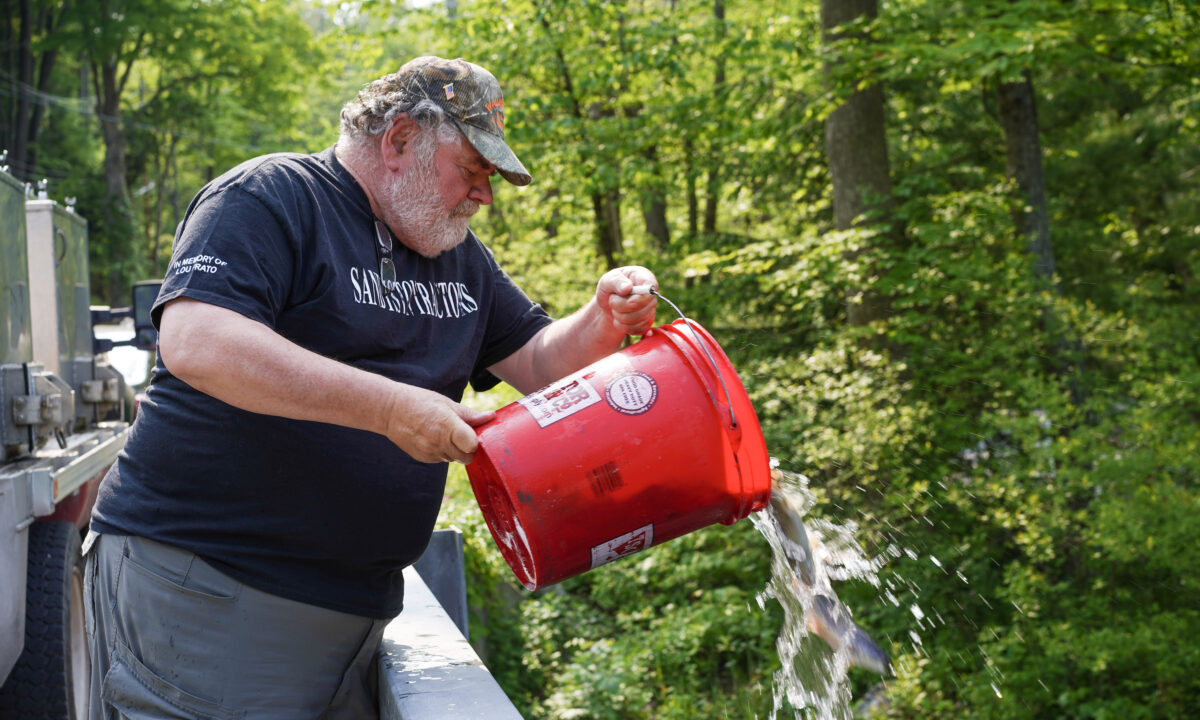 Orange County Stocks 4,000 Trout in Local Streams