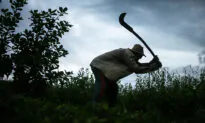 Australia Has 41,000 Modern Slaves: Report