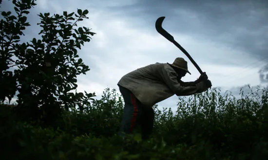 Australia Has 41,000 Modern Slaves: Report