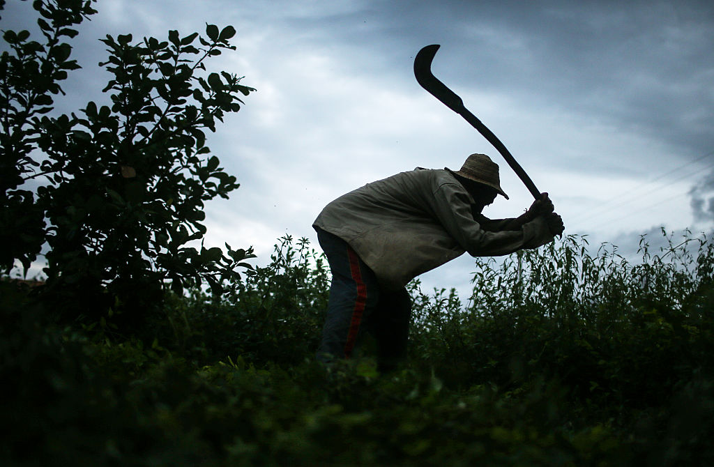 NextImg:Australia Has 41,000 Modern Slaves: Report