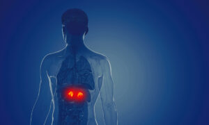 Low Levels of Stress Hormone Can Be Bad for Immunity, Here’s How to Keep a Healthy Level