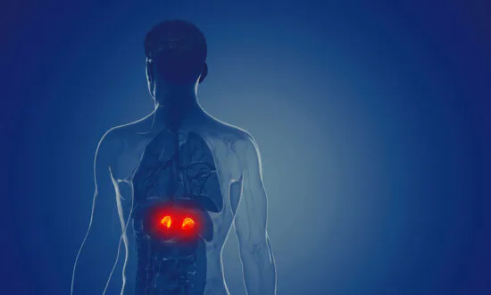 Low Levels of Stress Hormone Can Be Bad for Immunity, Here’s How to Keep a Healthy Level