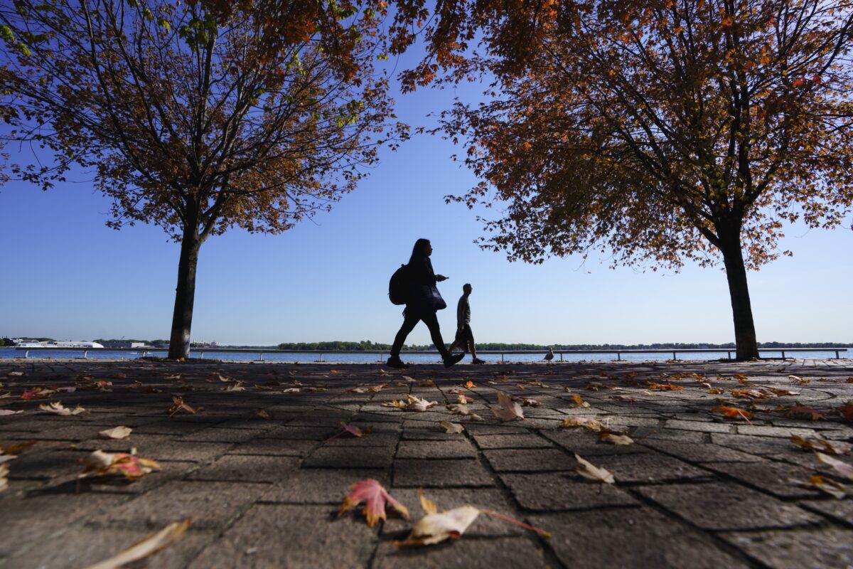 NextImg:Excess Deaths in Young Canadians Jump to 27 Percent