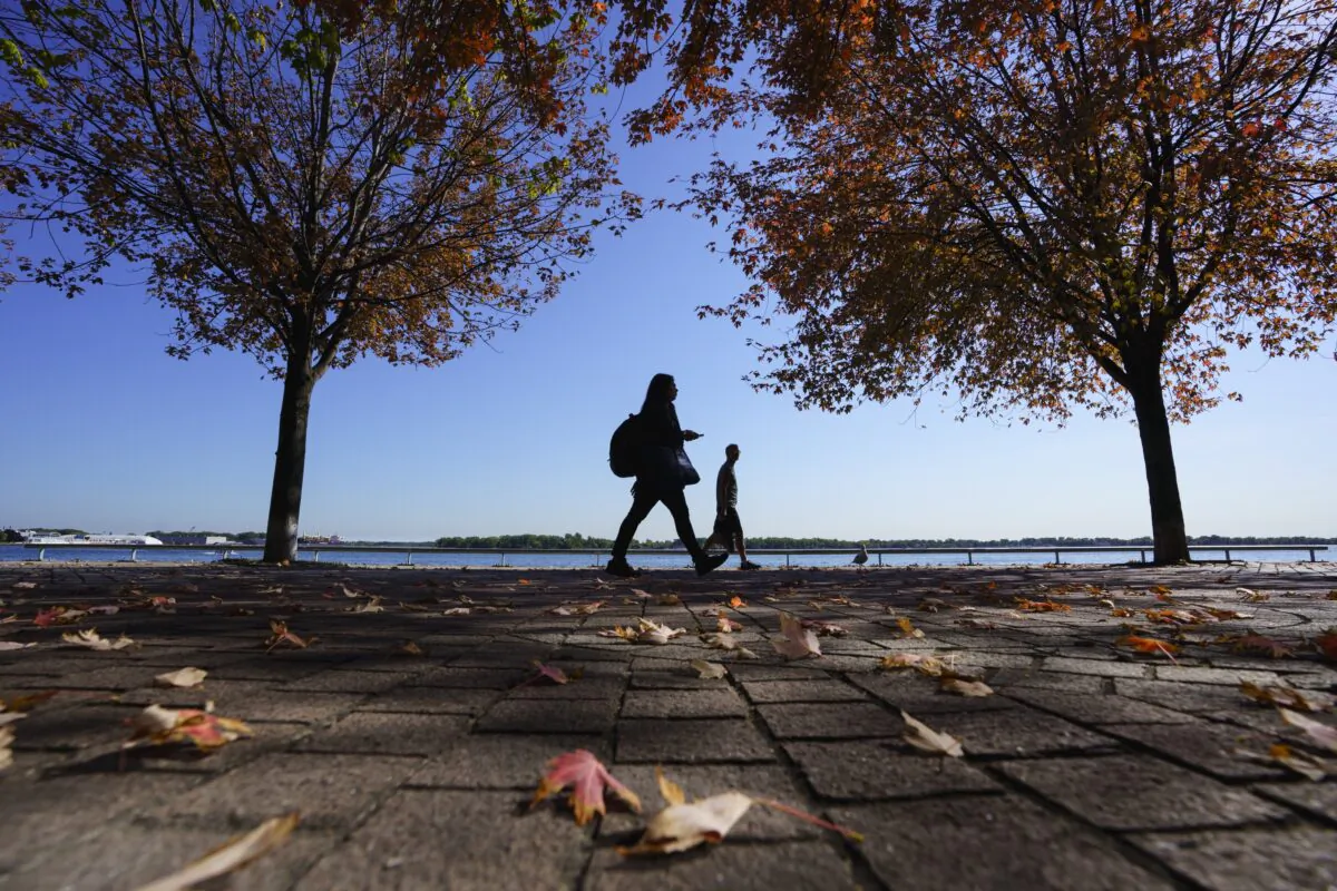 People are seen in silhouette while walking along the shore of Lake Ontario, underneath a canopy of fall leaves, on Oct. 5, 2022. (Alex Lupul/The Canadian Press)