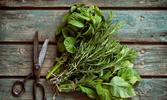 A Green Sauce for Dipping, Dressing, Drizzling