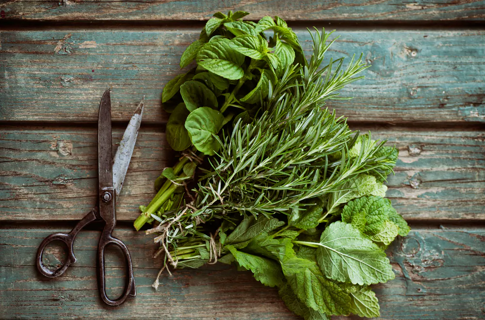 A medley of bright green herbs creates a light, bright, and refreshing dip, dressing, or crema.(mythja/Shutterstock)