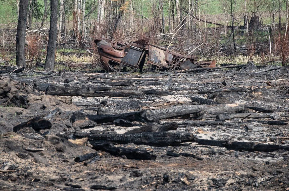 An old car lies burnt in a wooded area where recent wildfires have damaged the land, in Drayton Valley, Alta. on May 17, 2023. (The Canadian Press/Jason Franson)

