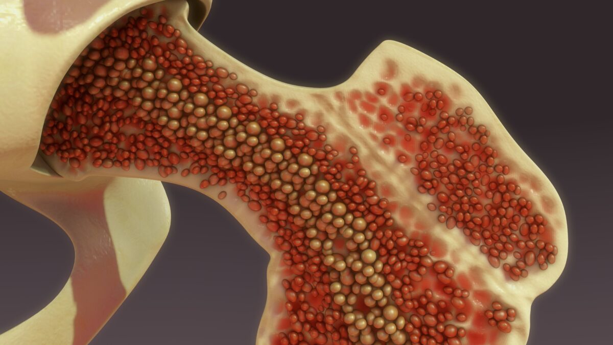NextImg:Where Does Immunity Originate? You May Be Surprised