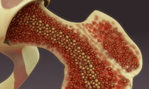 Where Does Immunity Originate? You May Be Surprised