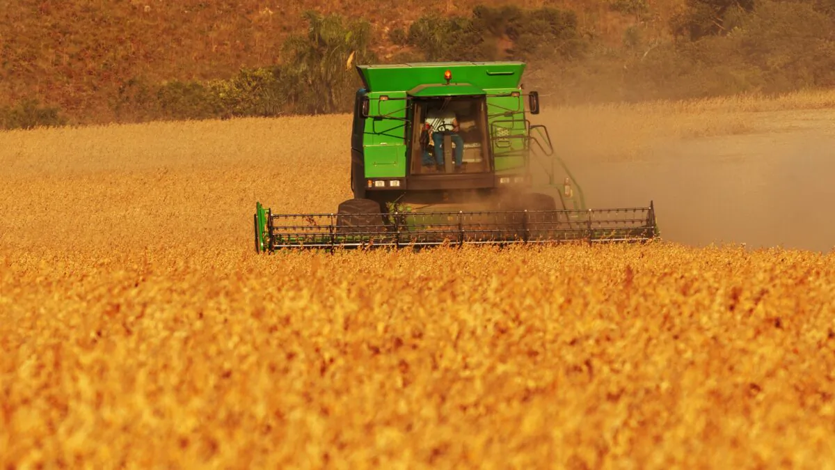 A farmer harvests soybeans in a no-till system in a file photo. (Celso Margraf/Shutterstock)