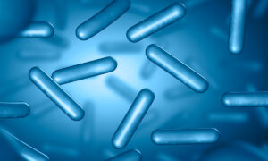 Changes in Gut Bacteria May Cause Parkinson’s: Study